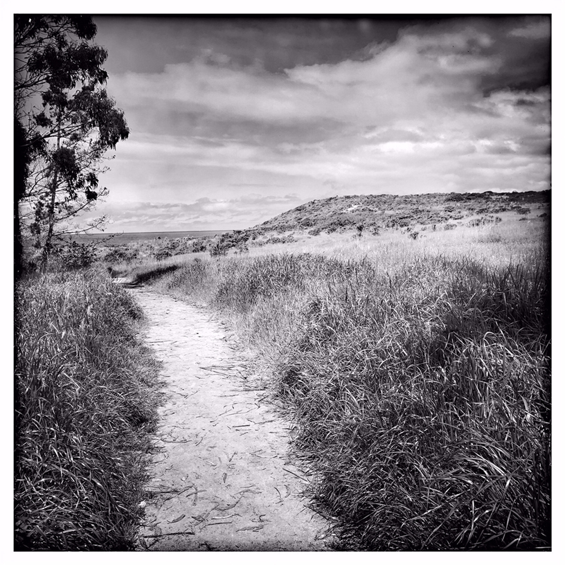 Camino en Monastery Beach, tomado con el iPhone Xs de Rachael Short.