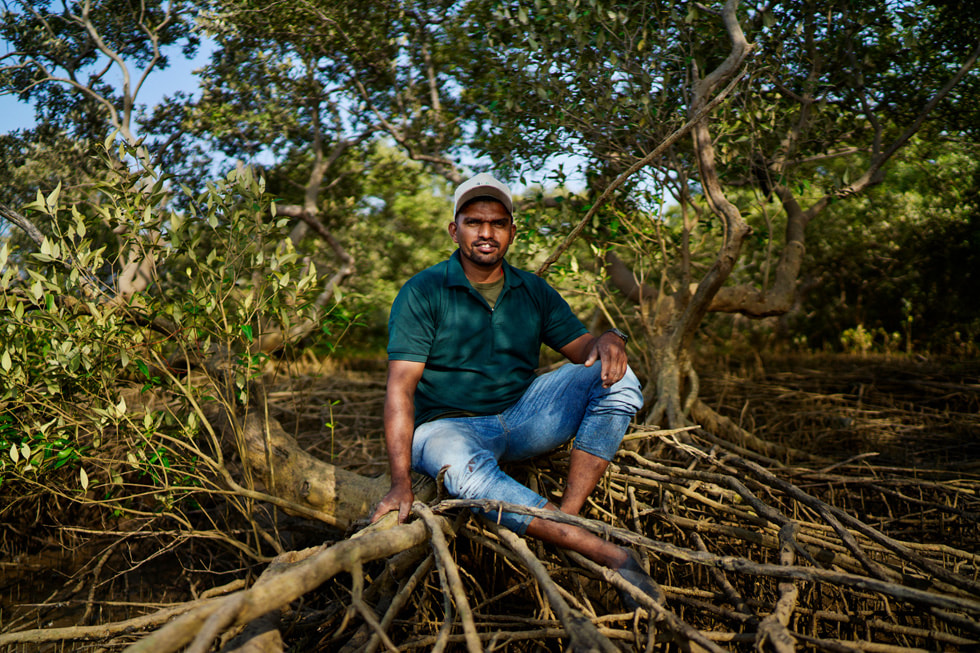 Bhavik Patil, pescatore, seduto sulle radici delle mangrovie.