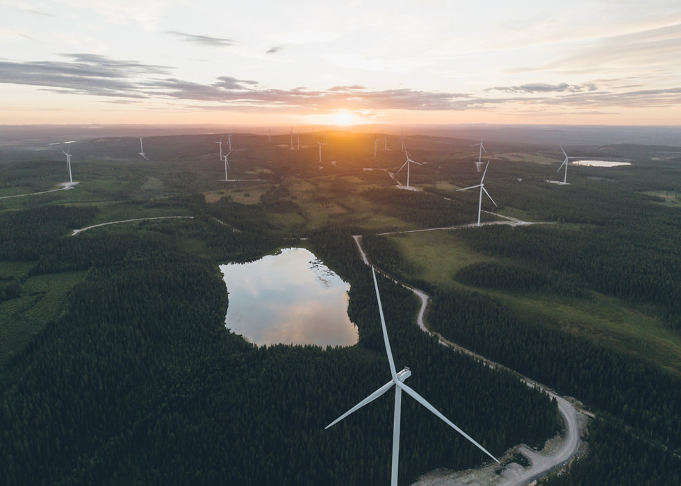 在瑞典 Skellefteå，Holmen 的 Blåbergsliden 風力發電站內數十部風車，展示在森林環境中。