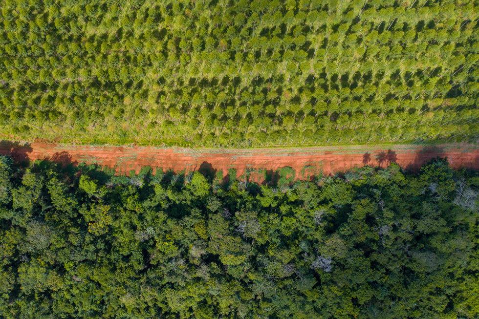 Plan en plongée d'un projet Restore Fund, au Paraguay.