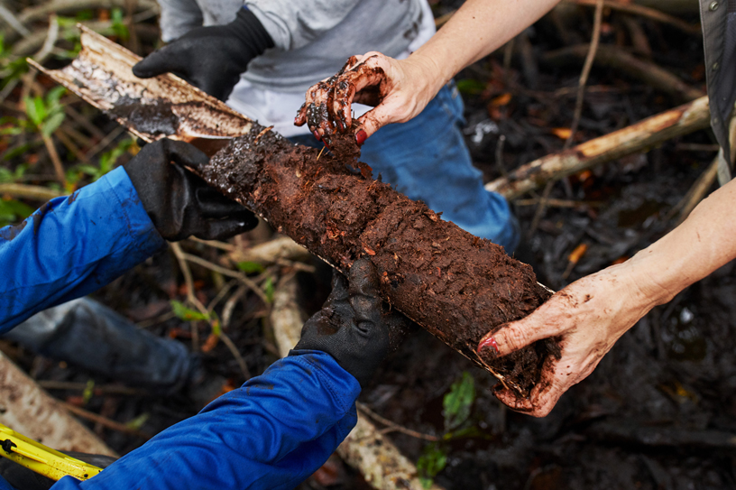 Das Außenteam von Conservation International überprüft eine Bodenprobe.