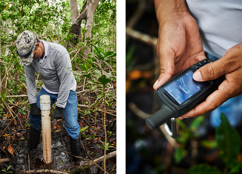 CVS Field Assistant José Gregorio Padilla Bautista nimmt eine Bodenprobe.