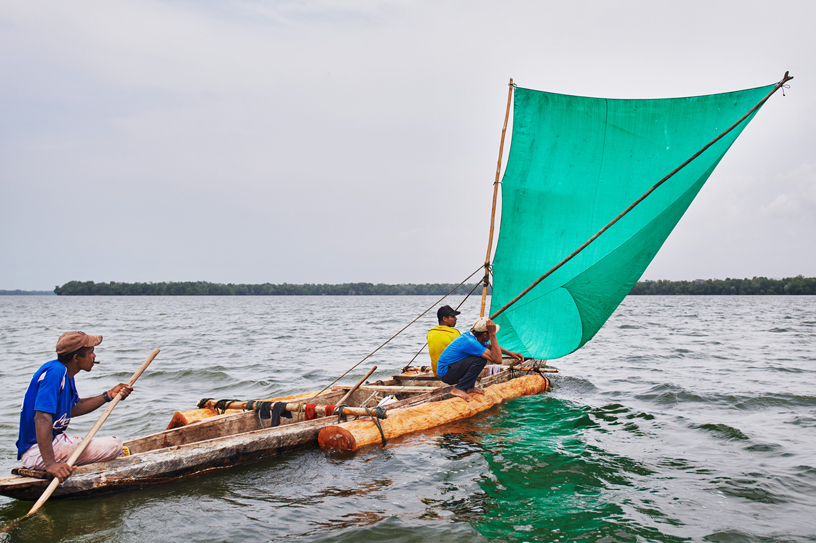 Holzfäller auf einem Boot mit geschlagenen und gesägten Mangrovenplanken.