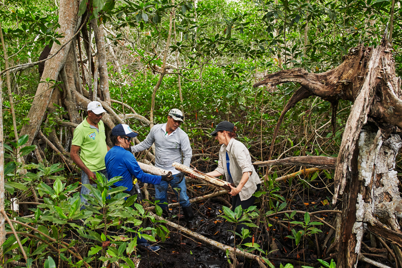 María Claudia Díazgranados Cadelo, de Conservation International, y el equipo examinan una muestra de suelo.