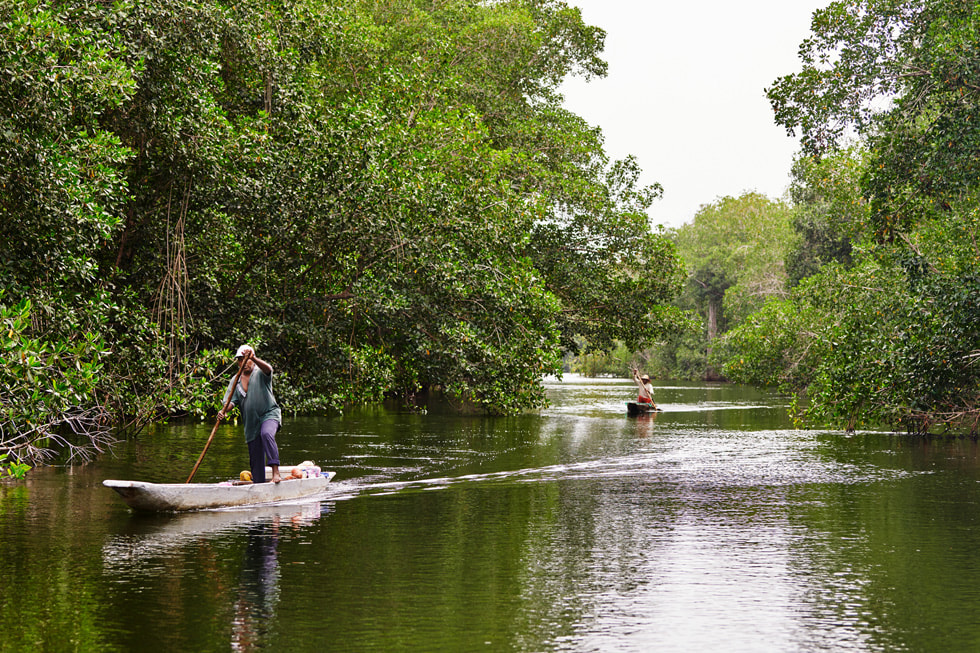 Dois homens remando pequenos barcos em um rio em Córdoba, na Colômbia.