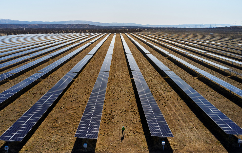 太陽光発電所に設置されたソーラーパネル。