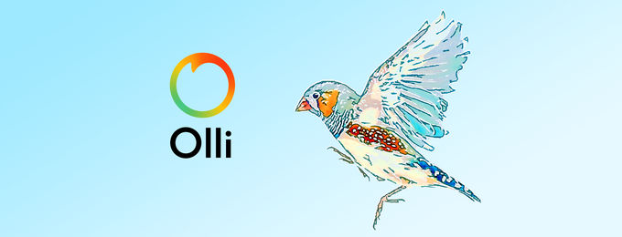 Olli by Tinrocket: Get Drawn In