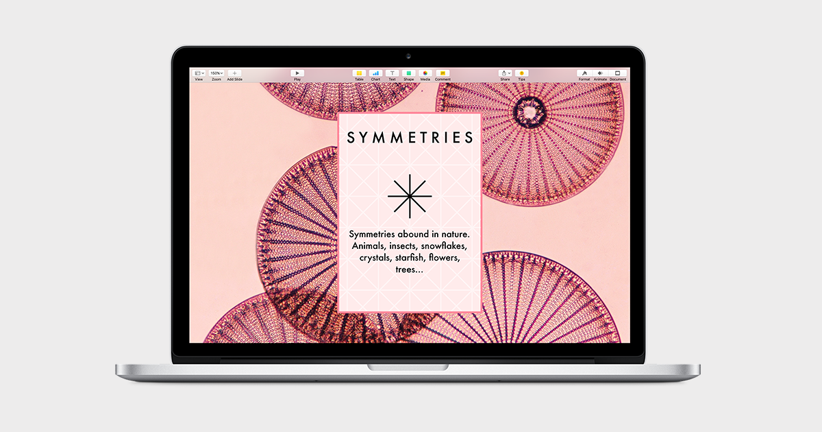 Vision Accessibility - Mac - Apple (NZ)