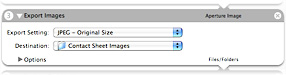Export Images