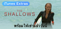 The Shallows