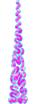 A squiggly pink tree with pale blue edges