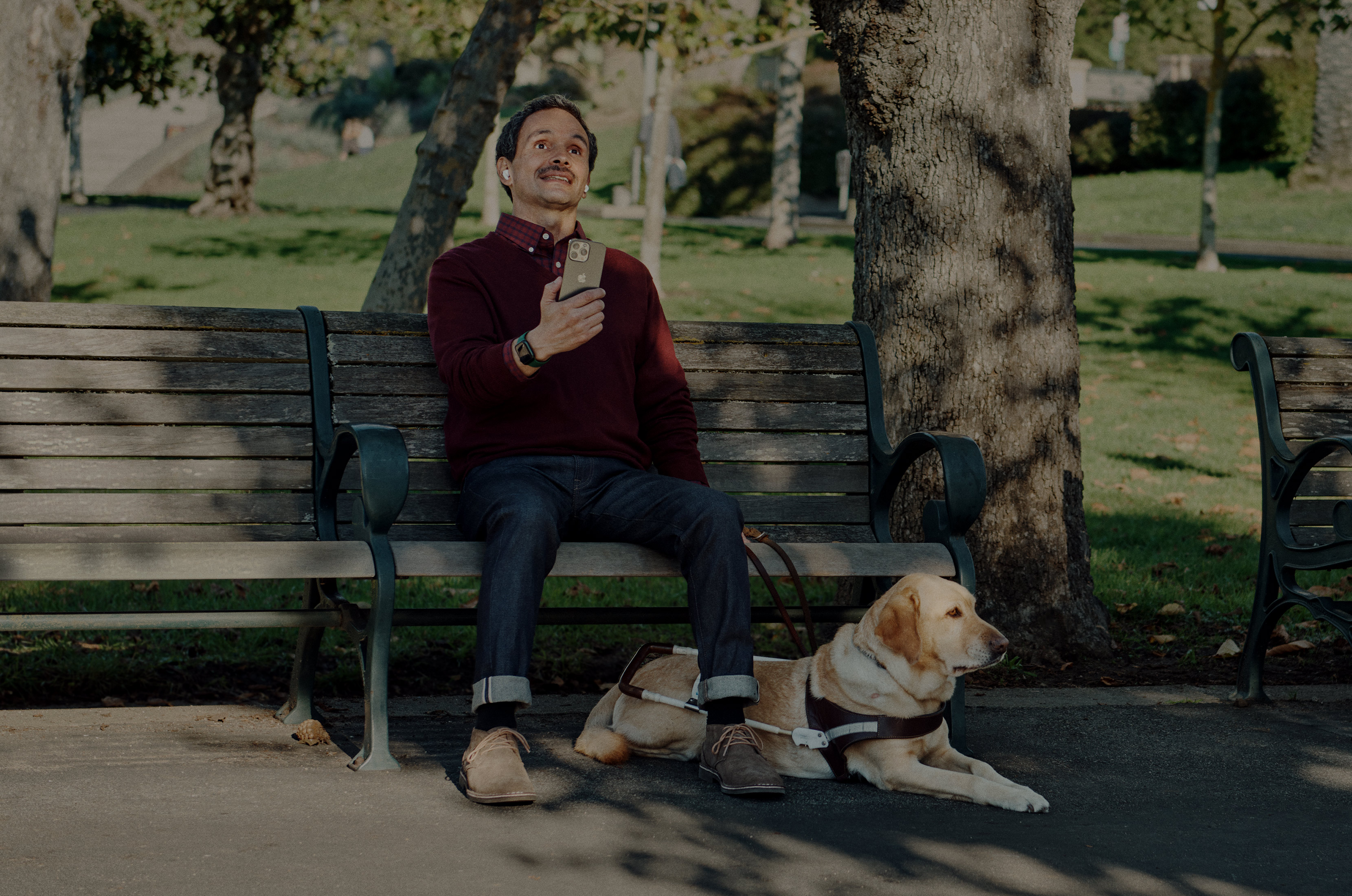 Accessibility Apple