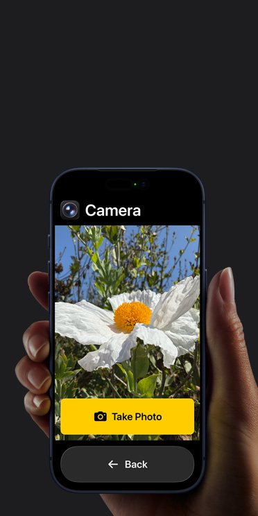 Tela do iPhone 17 Pro com a interface simplificada do app Câmera. Uma flor branca aparece enquadrada, com os botões “Tirar Foto” e “Voltar” exibidos abaixo.
