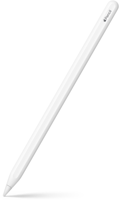 Un Apple Pencil de segunda generación inclinado en posición vertical, con la punta hacia abajo. La parte superior del Apple Pencil de segunda generación es curva y muestra el logo de Apple y el nombre del producto. Se muestra un efecto de sombra en la parte inferior.
