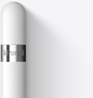 Se muestra la parte superior del Apple Pencil de primera generación con un diseño redondeado, un aro color plata y el nombre del producto.
