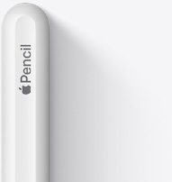 Se muestra la parte superior del Apple Pencil de segunda generación con un diseño redondeado, el logo de Apple y la palabra Pencil.