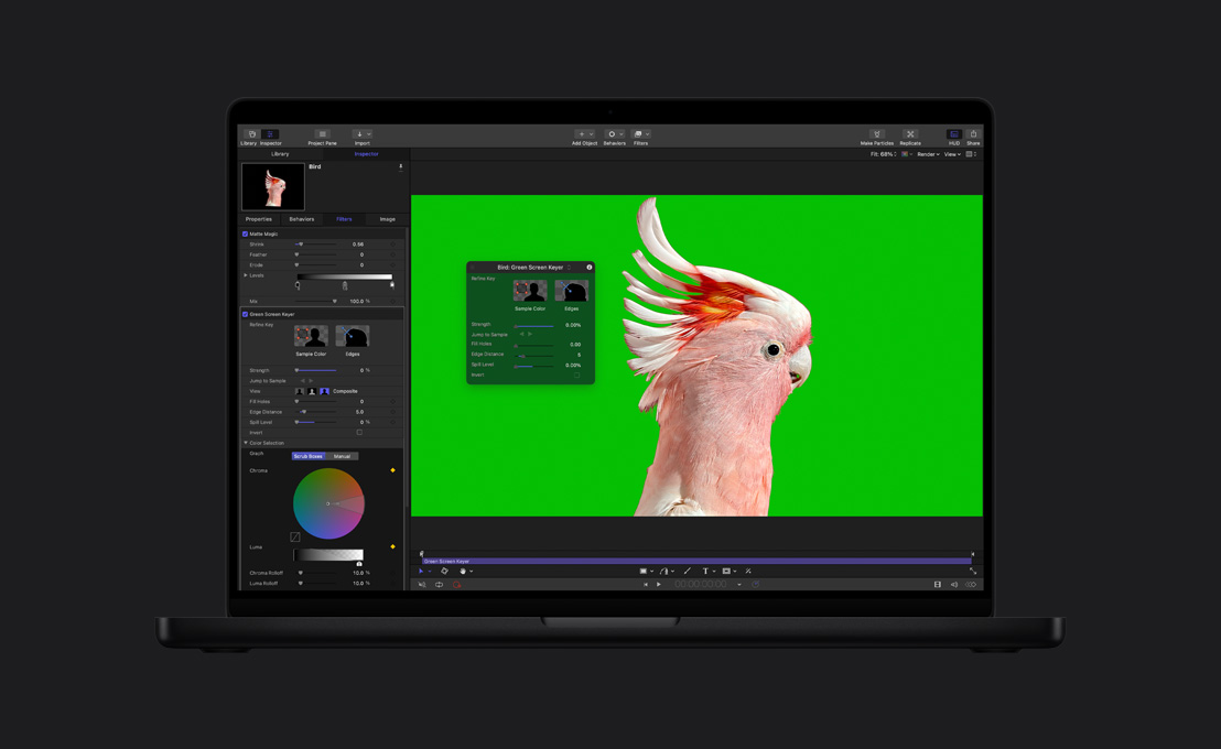 MacBook Pro de 16 polegadas, cacatua rosa em uma tela verde, demonstração de Chroma Key