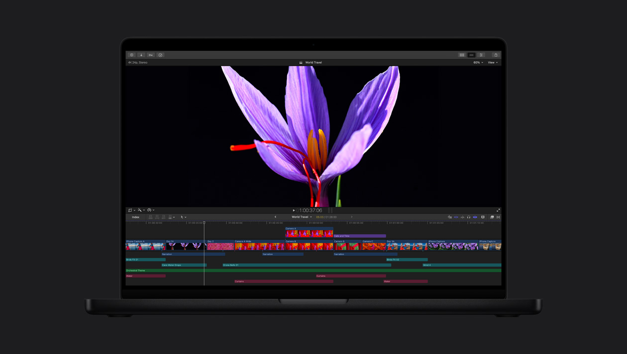 HDR em um MacBook Pro de 16 polegadas, close de uma flor roxa com estames vermelhos
