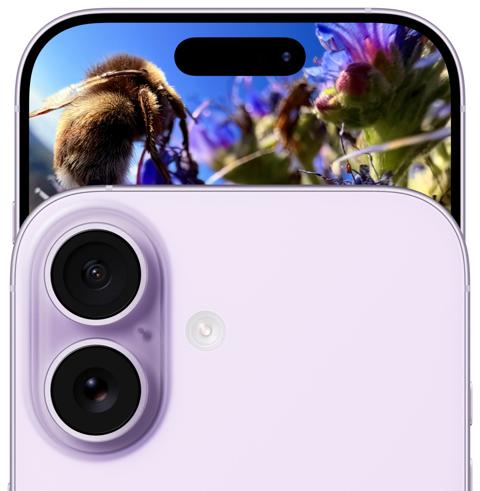 Hệ thống camera 48MP Dual Fusion trên iPhone 17 màu Tím Oải Hương, hỗ trợ chụp ảnh độ phân giải cao và video chuyên nghiệp