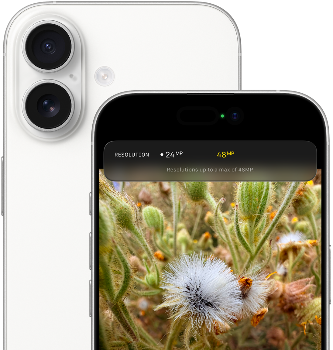 48MP Dual Fusion cameras