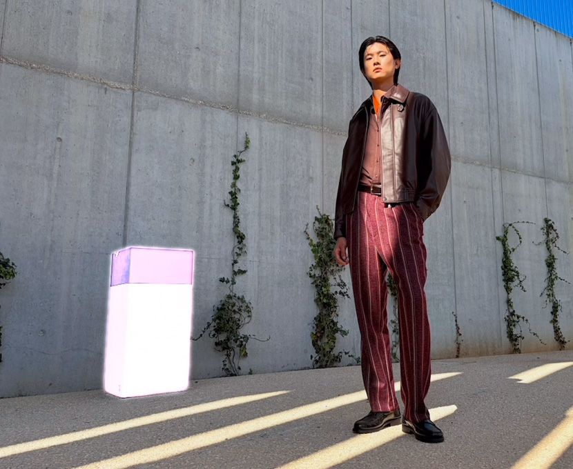 Herramienta Borrador de Apple Intelligence resaltando un objeto del fondo de una foto