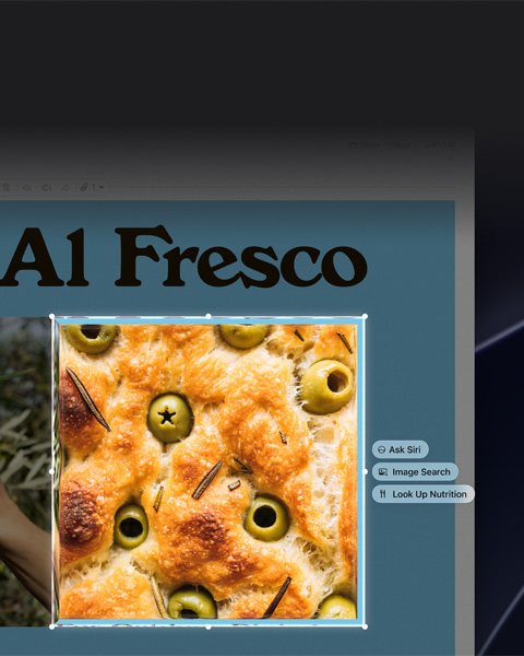 Visual Intelligence using the on-screen image analysis feature