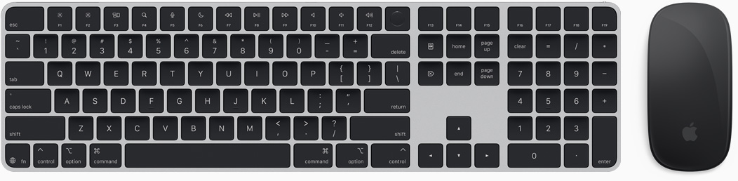 Draufsicht auf Magic Keyboard und Magic Mouse