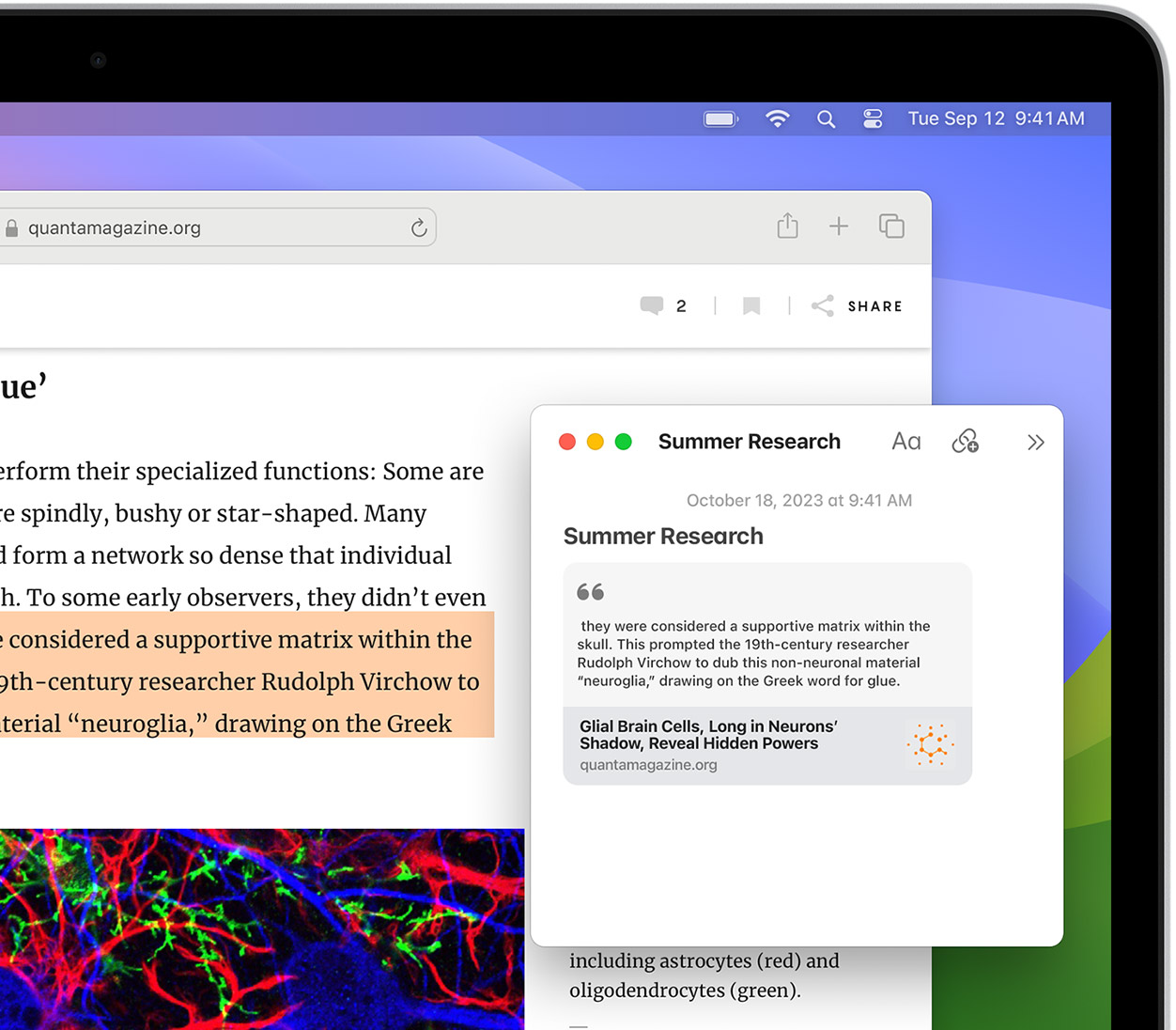 safari browser latest version free download for mac