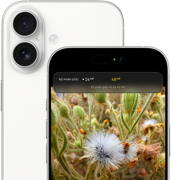 Chụp selfie nhóm với tính năng Center Stage cho ảnh